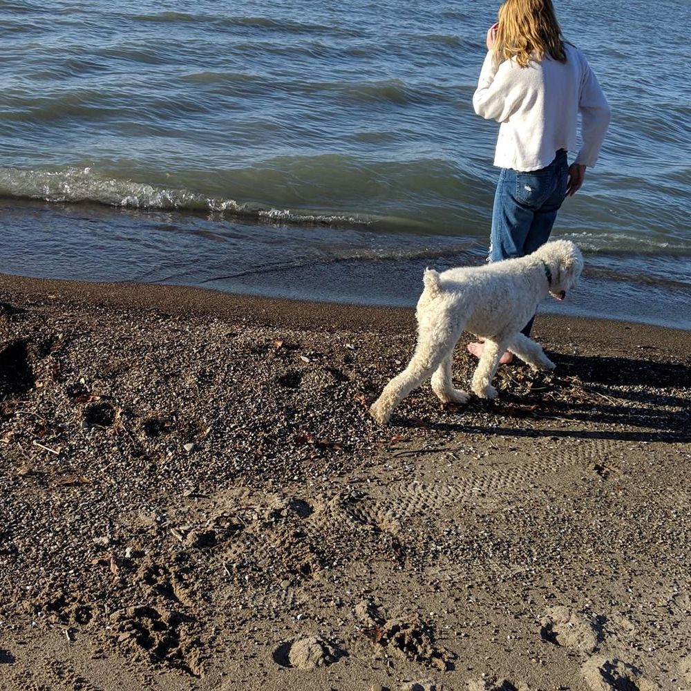 Meet your Posher, David